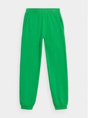 Zdjęcie produktu 4F Spodnie dresowe 4FJAW23TTROF426 Zielony Regular Fit