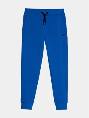 Zdjęcie produktu 4F Spodnie dresowe 4FJAW23TTROM410 Niebieski Regular Fit