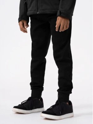 Zdjęcie produktu 4F Spodnie dresowe 4FJAW23TTROM411 Czarny Regular Fit