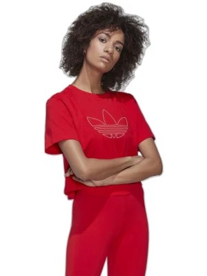 Zdjęcie produktu adidas Koszulka w kolorze czerwonym rozmiar: 40
