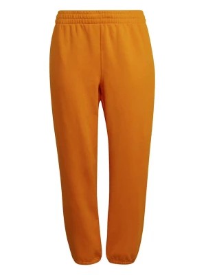 Zdjęcie produktu adidas Spodnie dresowe w kolorze pomarańczowym rozmiar: 4XL