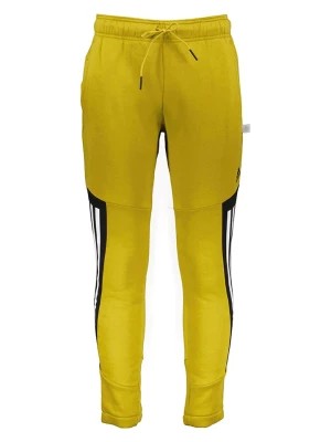 Zdjęcie produktu adidas Spodnie dresowe w kolorze żółtym rozmiar: M