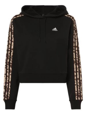 Zdjęcie produktu adidas Sportswear Damski sweter z kapturem Kobiety Bawełna czarny jednolity,