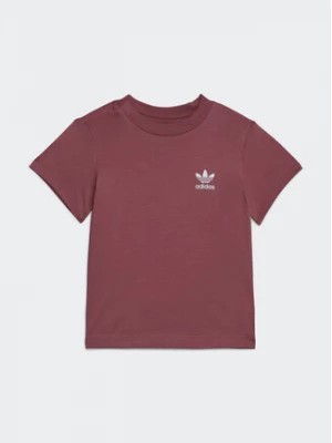 Zdjęcie produktu adidas T-Shirt Adicolor T-Shirt IC9106 Różowy Regular Fit