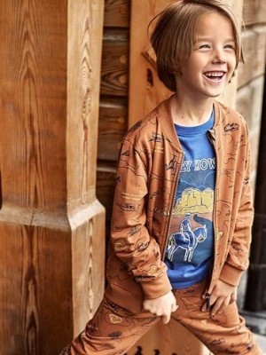 Zdjęcie produktu Bawełniana bluza rozpinana ze stójką dla chłopca- brązowa 5.10.15.