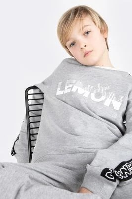 Zdjęcie produktu Bluza nierozpinana LEMON