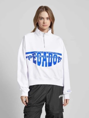 Zdjęcie produktu Bluza o kroju oversized z wyhaftowanym logo model ‘SARINA’ Pegador