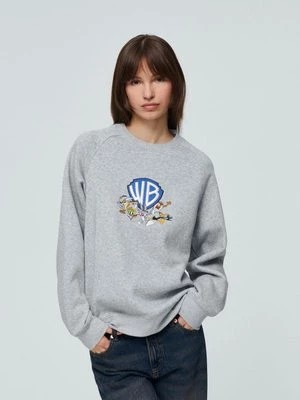 Zdjęcie produktu Bluza z haftem Warner Bros szara House