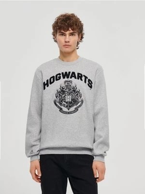 Zdjęcie produktu Bluza z nadrukiem Harry Potter szara House