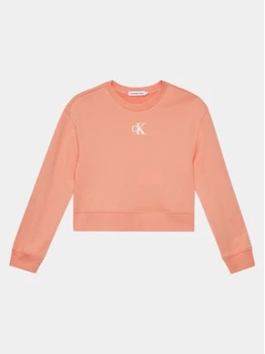 Zdjęcie produktu Calvin Klein Jeans Bluza Logo IG0IG02423 Różowy Relaxed Fit