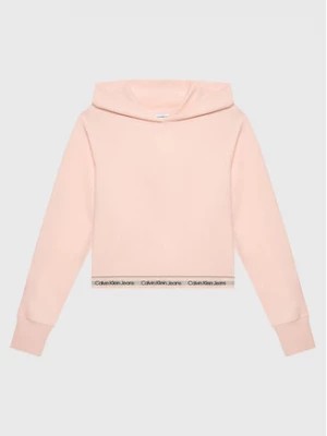 Zdjęcie produktu Calvin Klein Jeans Bluza Punto Logo IG0IG01874 Różowy Loose Fit