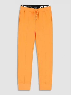 Zdjęcie produktu Coccodrillo Spodnie dresowe WC3120101DRJ Pomarańczowy Regular Fit