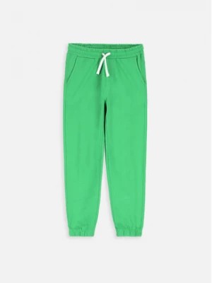 Zdjęcie produktu Coccodrillo Spodnie dresowe ZC3120101VBB Zielony Slim Fit