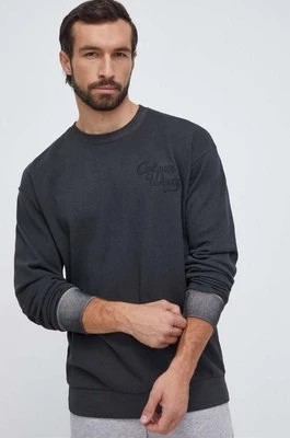 Zdjęcie produktu Colourwear bluza bawełniana męska kolor szary z aplikacją