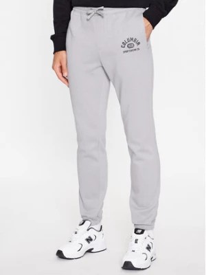 Zdjęcie produktu Columbia Spodnie dresowe Trek™ Jogger Szary Regular Fit