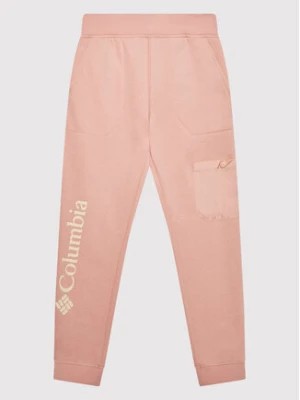 Zdjęcie produktu Columbia Spodnie dresowe Trek™ 1989811 Różowy Regular Fit