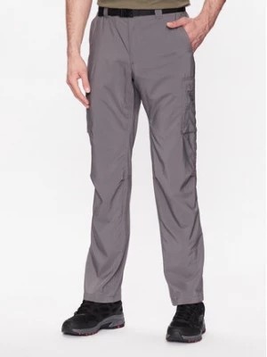Zdjęcie produktu Columbia Spodnie outdoor Silver Ridge™ 2012952 Szary Regular Fit