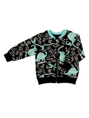 Zdjęcie produktu Czarna bluza boomerka dla chłopca w dinozaury Nicol