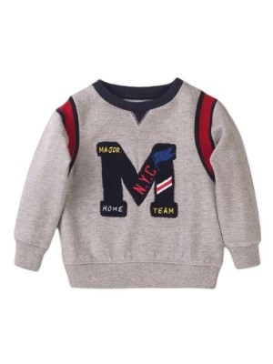 Zdjęcie produktu Dresowa bluza ocieplana dla niemowlaka - szara Minoti