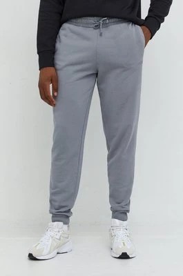 Zdjęcie produktu Fila spodnie dresowe męskie kolor szary z aplikacją