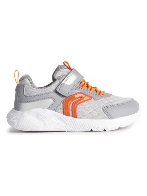 Zdjęcie produktu Geox Sneakersy "Sprintye" w kolorze szarym rozmiar: 31