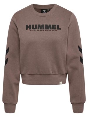 Zdjęcie produktu Hummel Bluza "Legacy" w kolorze brązowym rozmiar: XL
