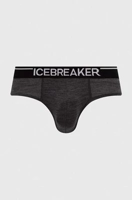 Zdjęcie produktu Icebreaker bielizna funkcyjna Merino Anatomica kolor szary IB1030310021