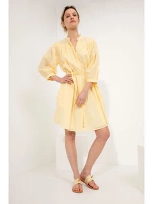 Zdjęcie produktu Josephine & Co Sukienka "Gracy" w kolorze żółtym rozmiar: 36