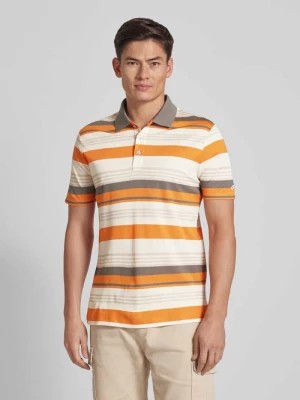 Zdjęcie produktu Koszulka polo o kroju regular fit ze wzorem w paski PAUL & SHARK