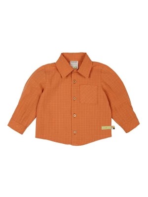 Zdjęcie produktu loud + proud Koszula w kolorze pomarańczowym rozmiar: 74/80