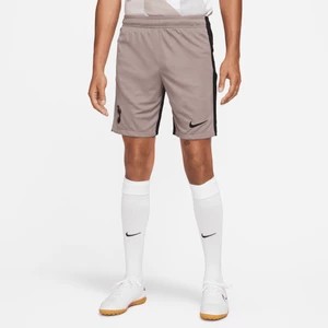 Zdjęcie produktu Męskie spodenki piłkarskie Nike Dri-FIT Tottenham Hotspur Stadium 2023/24 (wersja trzecia) - Brązowy