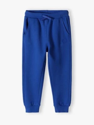 Zdjęcie produktu Niebieskie spodnie dresowe dla dziecka - unisex - Limited Edition