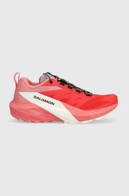 Zdjęcie produktu Salomon buty Sense Ride 5 damskie kolor różowy