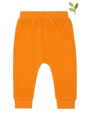 Zdjęcie produktu Sense Organics Spodnie dresowe w kolorze pomarańczowym rozmiar: 80