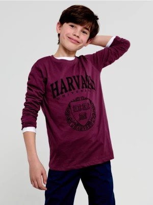 Zdjęcie produktu Sinsay - Koszulka Harvard - fioletowy
