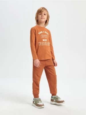 Zdjęcie produktu Sinsay - Spodnie dresowe jogger - brązowy