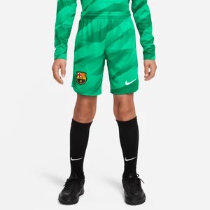 Zdjęcie produktu Spodenki piłkarskie dla dużych dzieci Nike Dri-FIT FC Barcelona Stadium Goalkeeper 2023/24 - Zieleń