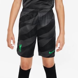 Zdjęcie produktu Spodenki piłkarskie dla dużych dzieci Nike Dri-FIT Liverpool FC Stadium Goalkeeper 2023/24 - Szary