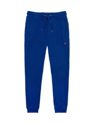 Zdjęcie produktu Spodnie dresowe dla niemowlaka niebieskie Minoti