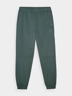 Zdjęcie produktu Spodnie dresowe joggery męskie - oliwkowe 4F