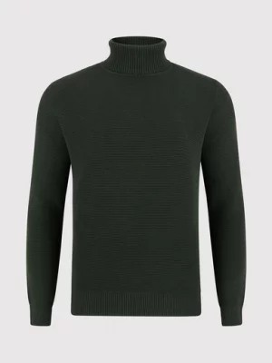 Zdjęcie produktu Sweter z golfem w kolorze zielonym Pako Lorente
