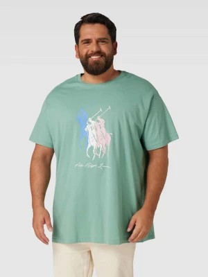 Zdjęcie produktu T-shirt PLUS SIZE z nadrukiem z motywem z logo Polo Ralph Lauren Big & Tall