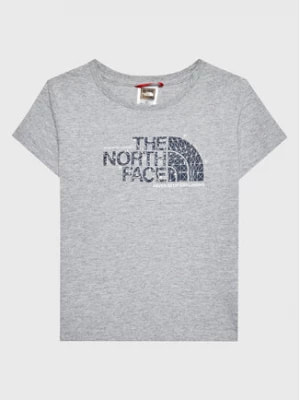 Zdjęcie produktu The North Face T-Shirt Graphic NF0A7X5B Szary Regular Fit