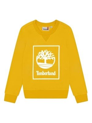 Zdjęcie produktu Timberland Bluza w kolorze żółtym rozmiar: 176