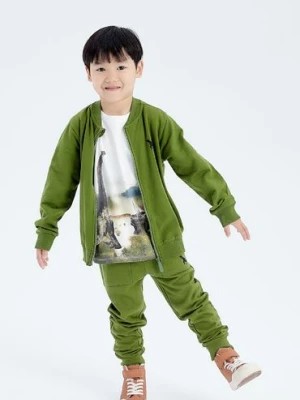 Zdjęcie produktu Zielone dresowe spodnie slim dla chłopca z dinozaurem 5.10.15.