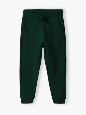 Zdjęcie produktu Zielone spodnie dresowe dla dziecka - unisex - Limited Edition