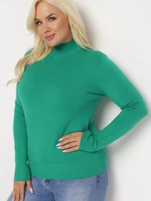 Zdjęcie produktu Zielony Sweter z Golfem Erimessa