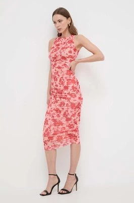 Zdjęcie produktu Bardot sukienka kolor czerwony midi dopasowana