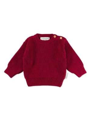 Zdjęcie produktu Hofbrucker Sweter w kolorze czerwonym rozmiar: 74/80