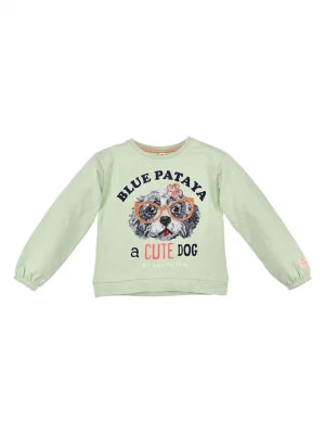 Zdjęcie produktu Bondi Koszulka "Cute Dog" w kolorze zielonym rozmiar: 116